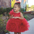 My Little Caroline - Priority Shipping Dresses Little Palace Store 6M Red